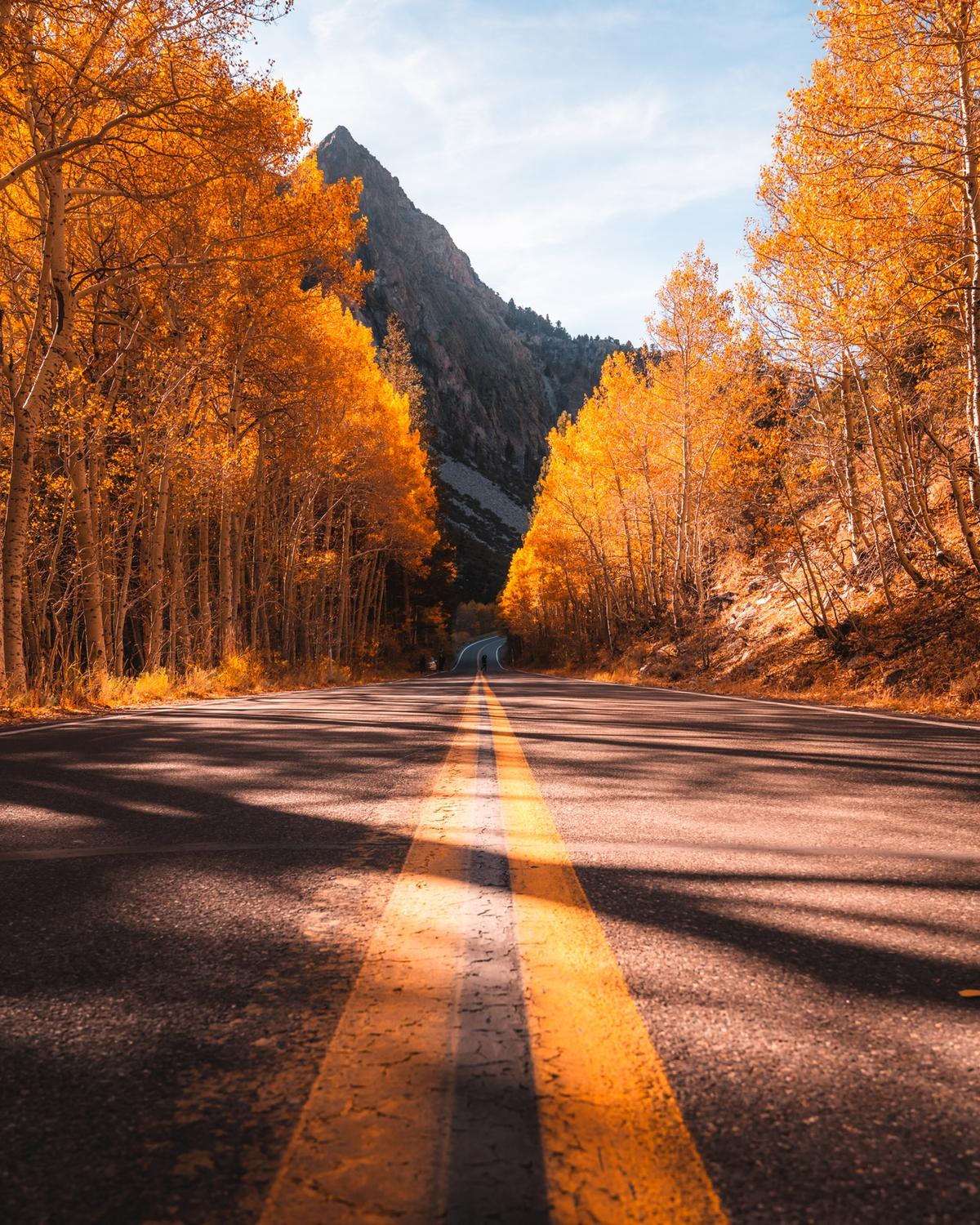 Low angle of a road in June Lake Loop