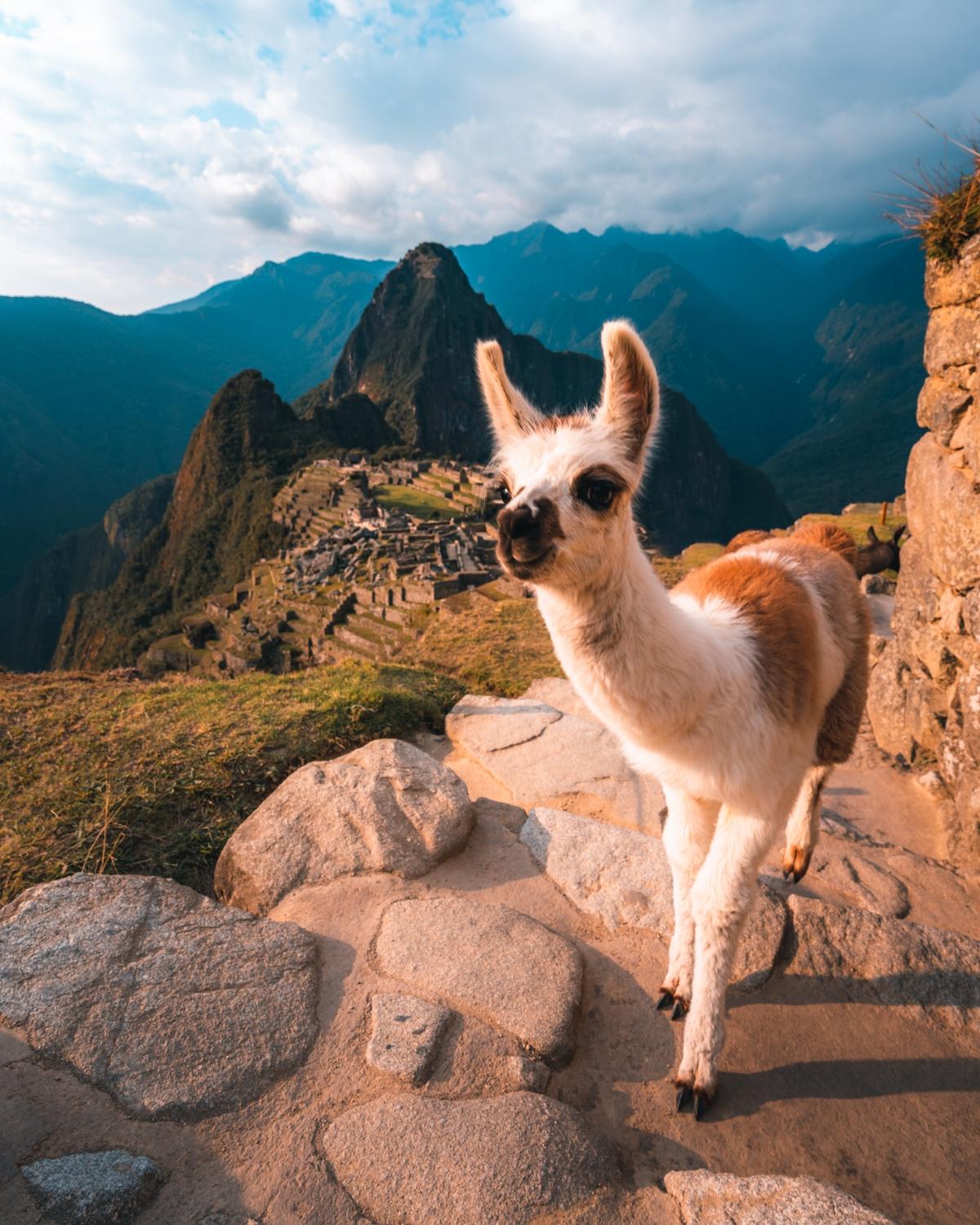 Inkaterra Machu Picchu 37