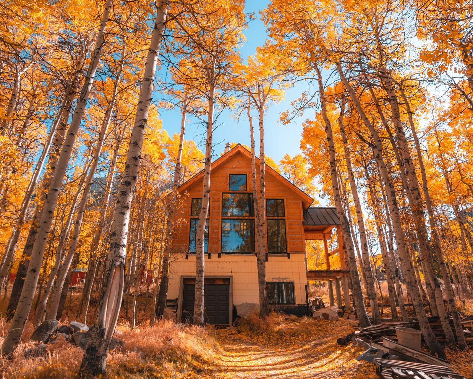 Autumn Colors in the Eastern Sierras cover image