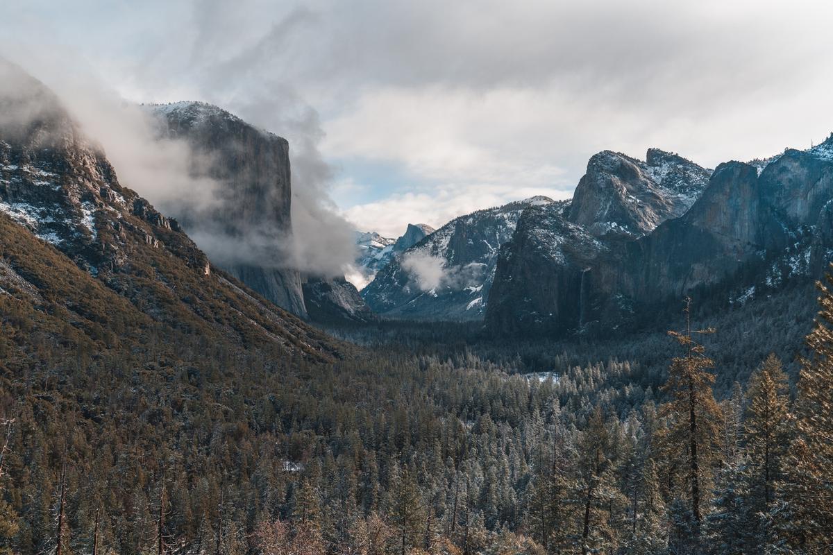 Glacier point road in the morning