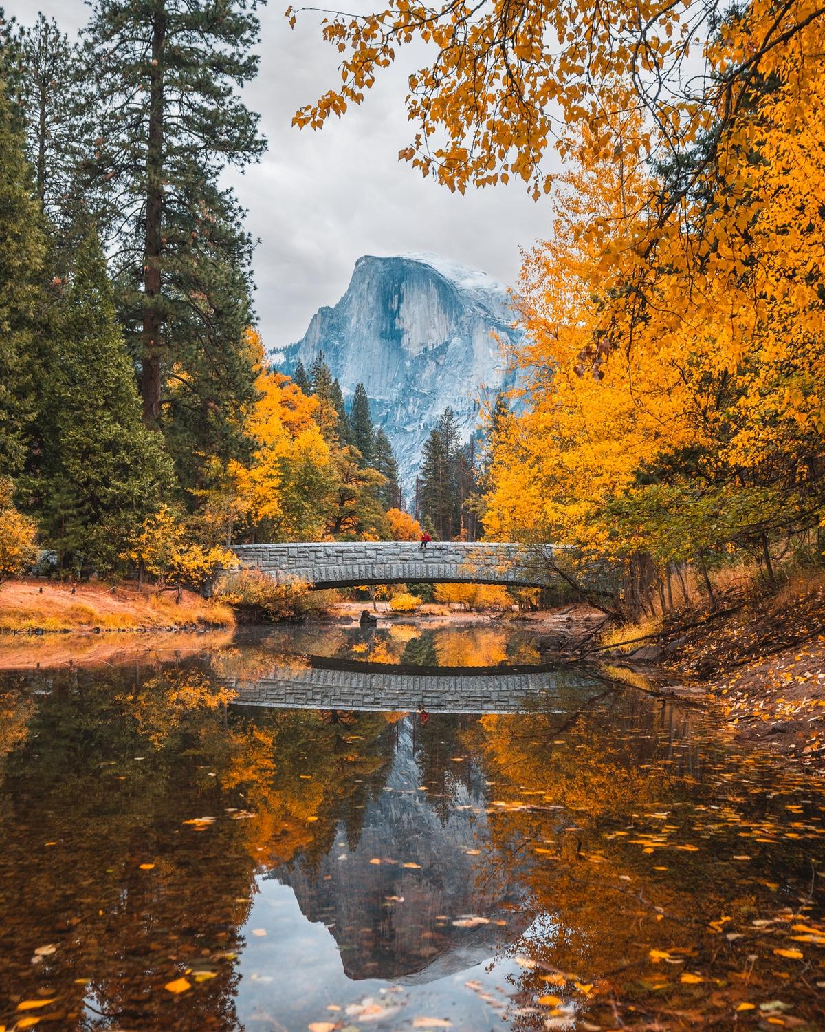 Sentinel bridge during autumn